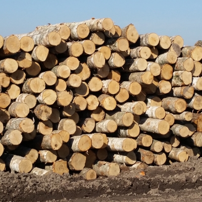 Log Yard